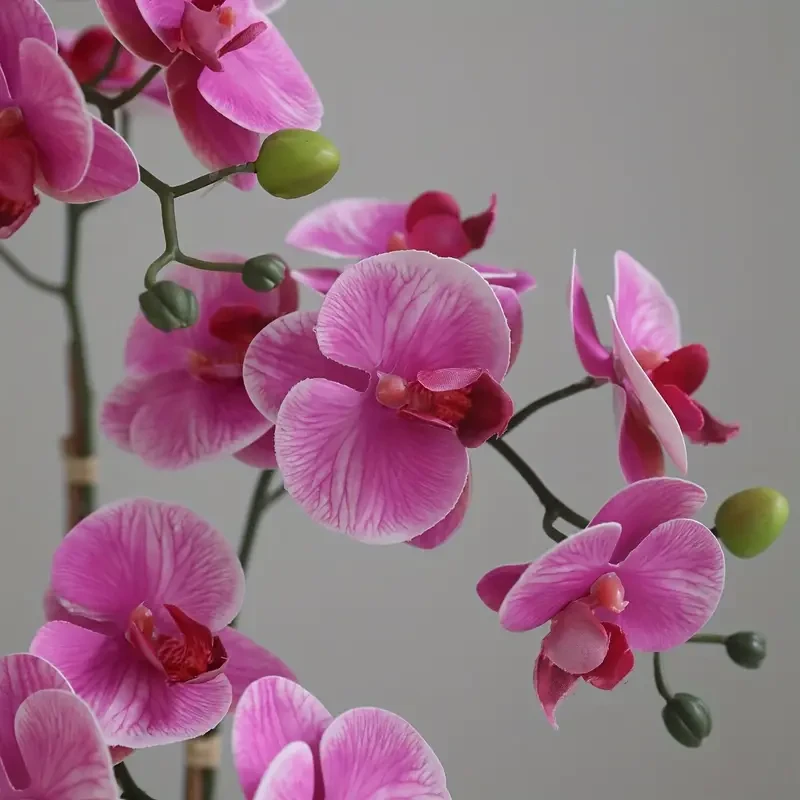 Roze kunstorchidee in witte pot – 50 cm | Levensechte Phalaenopsis